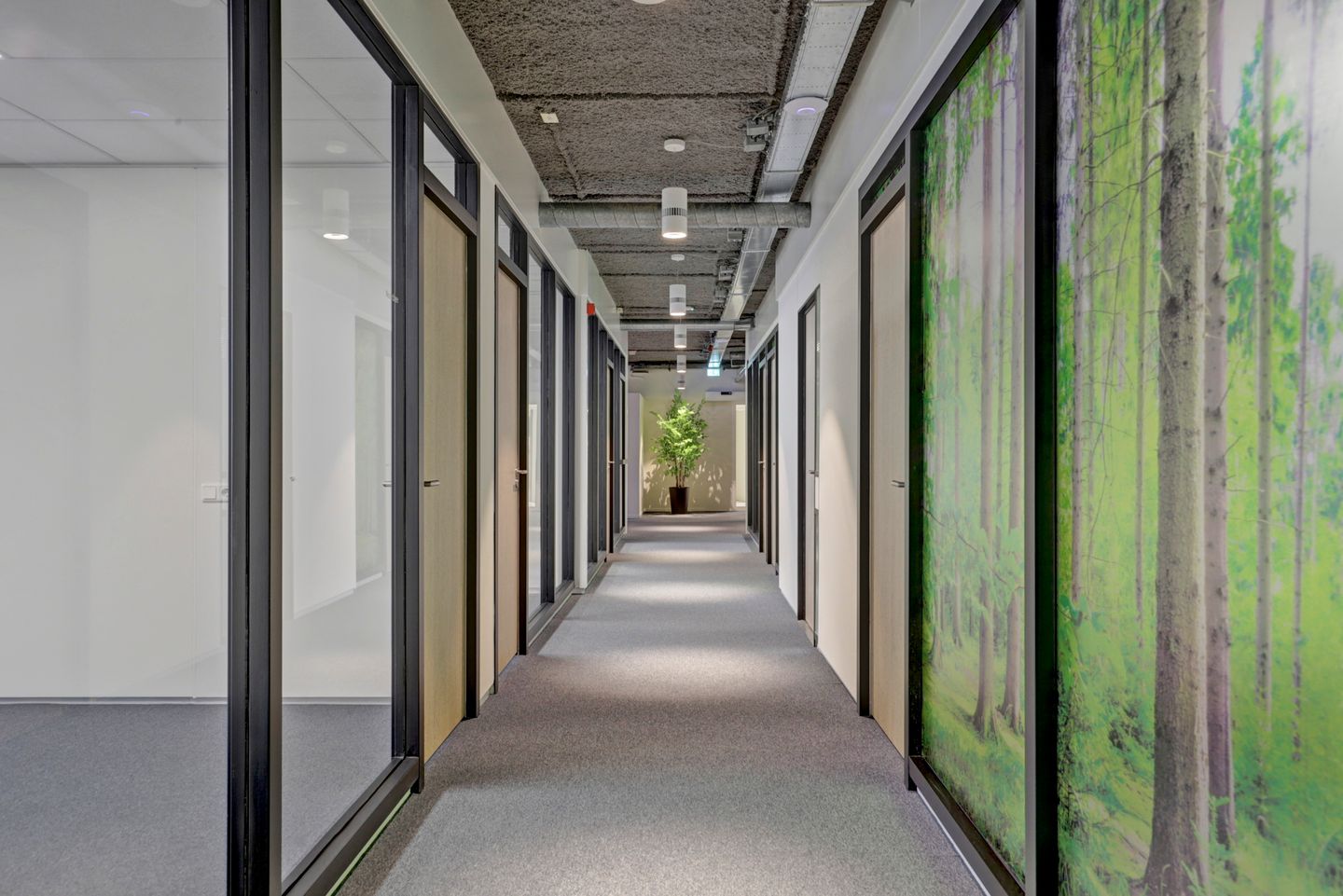 View photo 4 of Laan van Vollenhove 2925