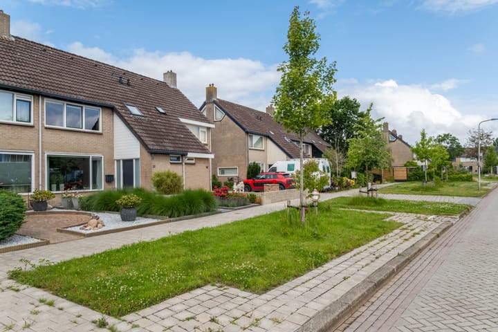 Foto 7 van Aysmastins 20