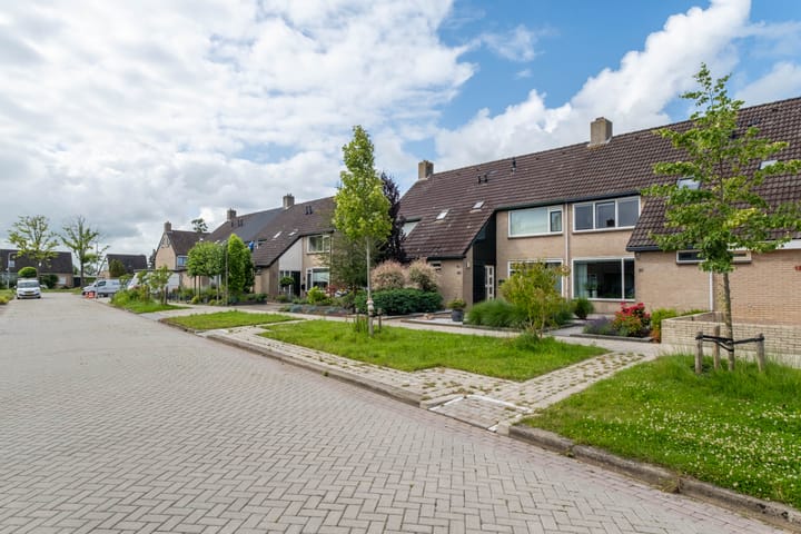 Foto 8 van Aysmastins 20