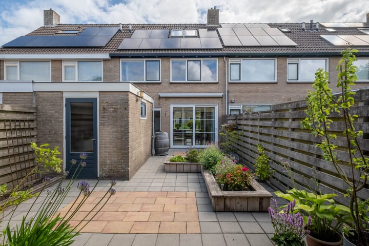 Foto 44 van Aysmastins 20