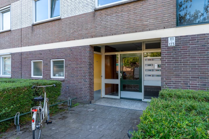 Foto 21 van Othellodreef 121