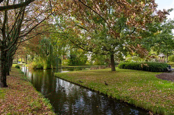 Photo 43 of De Tas 41