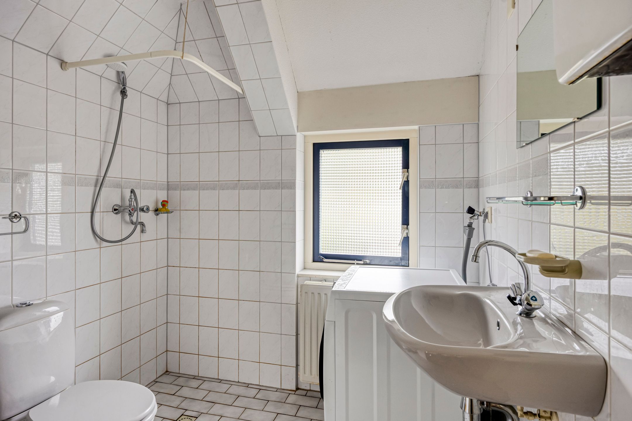 Foto 24 van Specht 12