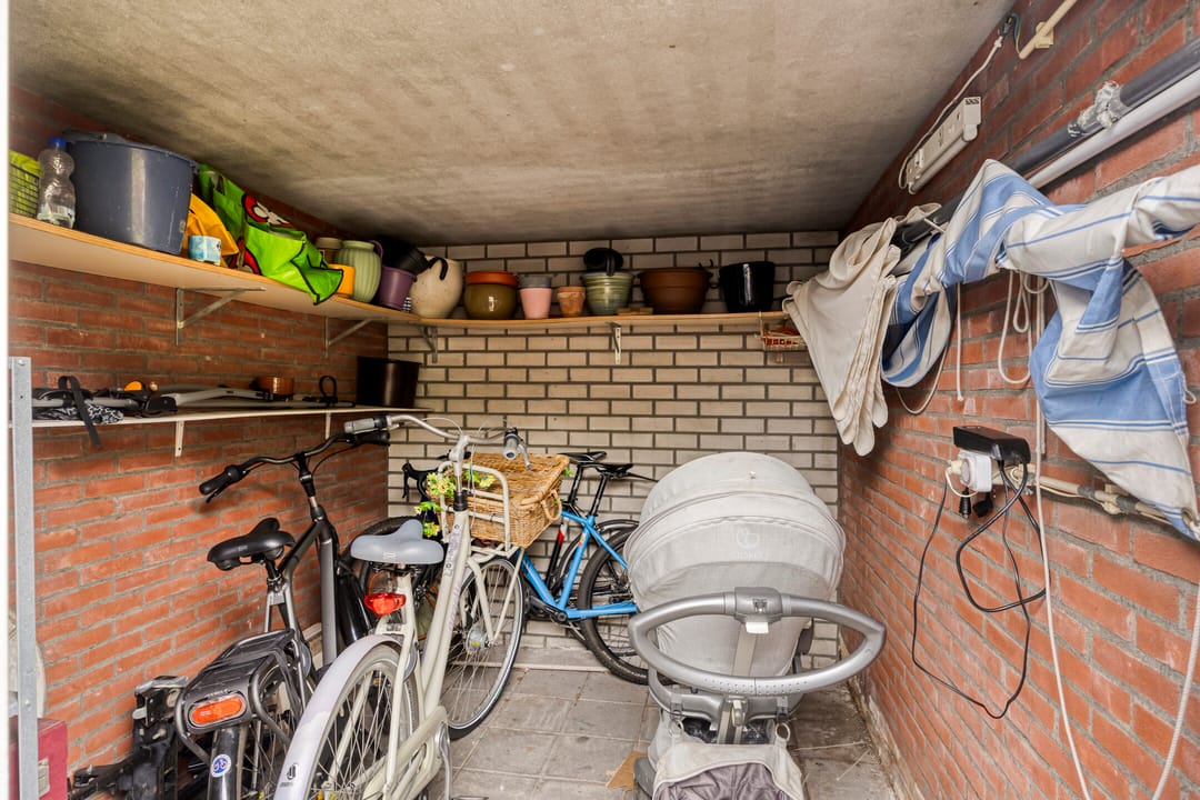 Foto 31 van Specht 12