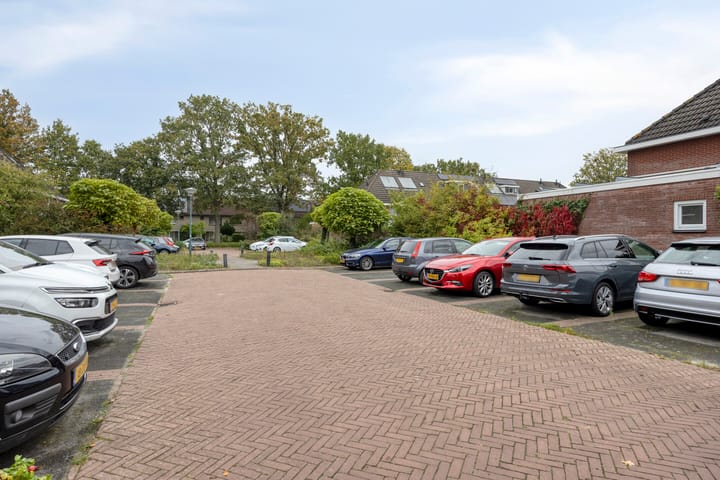 Foto 38 van Specht 12