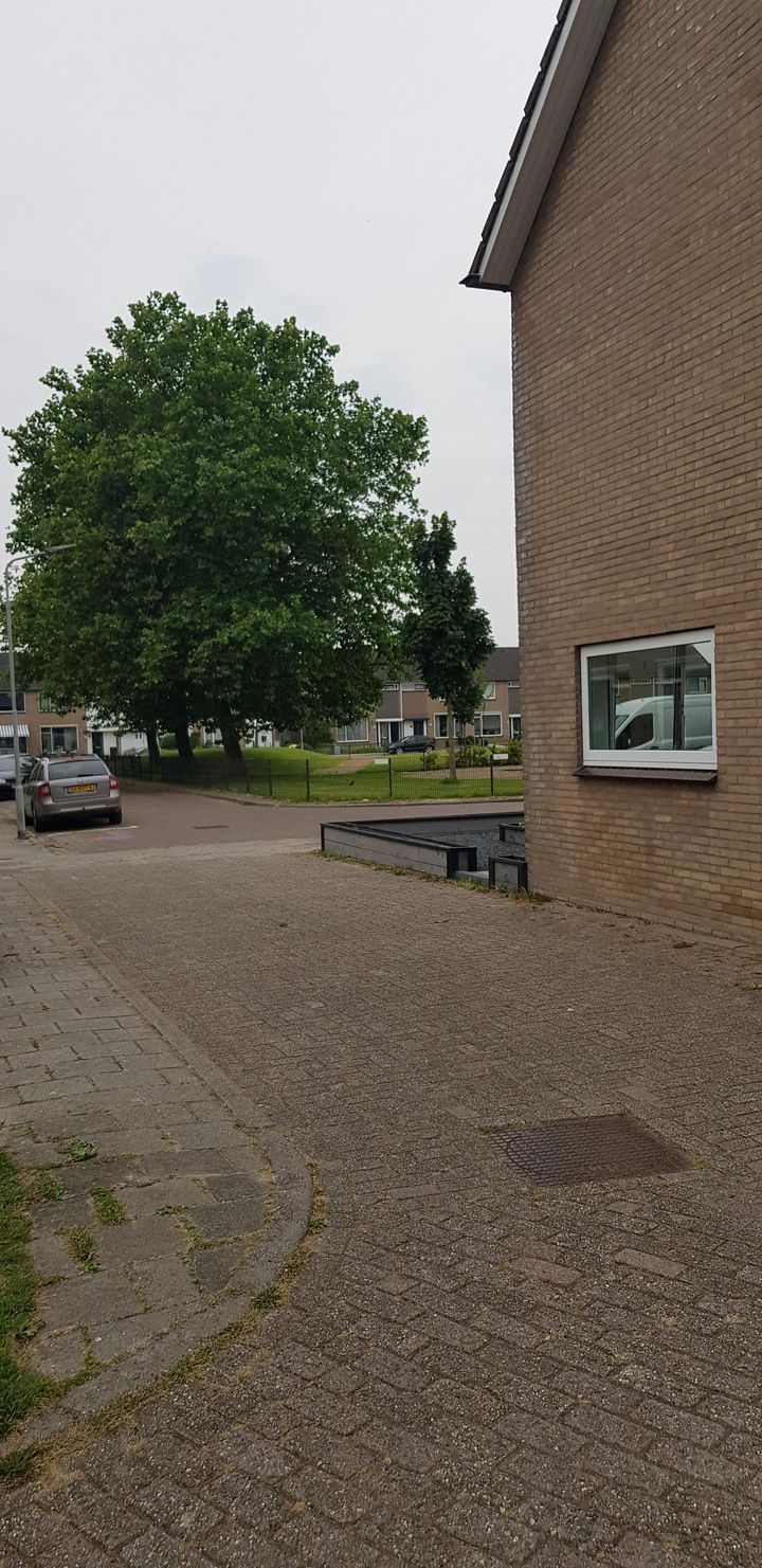 Foto 35 van Lelieplein 32