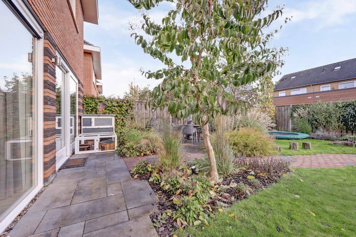 Foto 41 van Chirurgijnsgilde 20