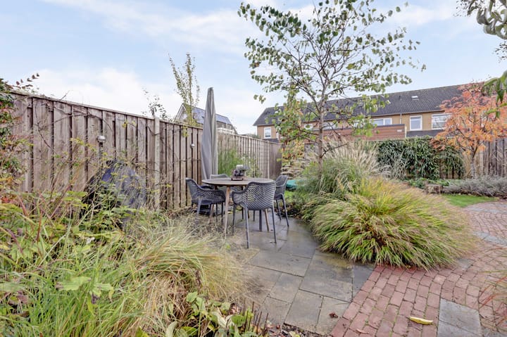 Foto 43 van Chirurgijnsgilde 20