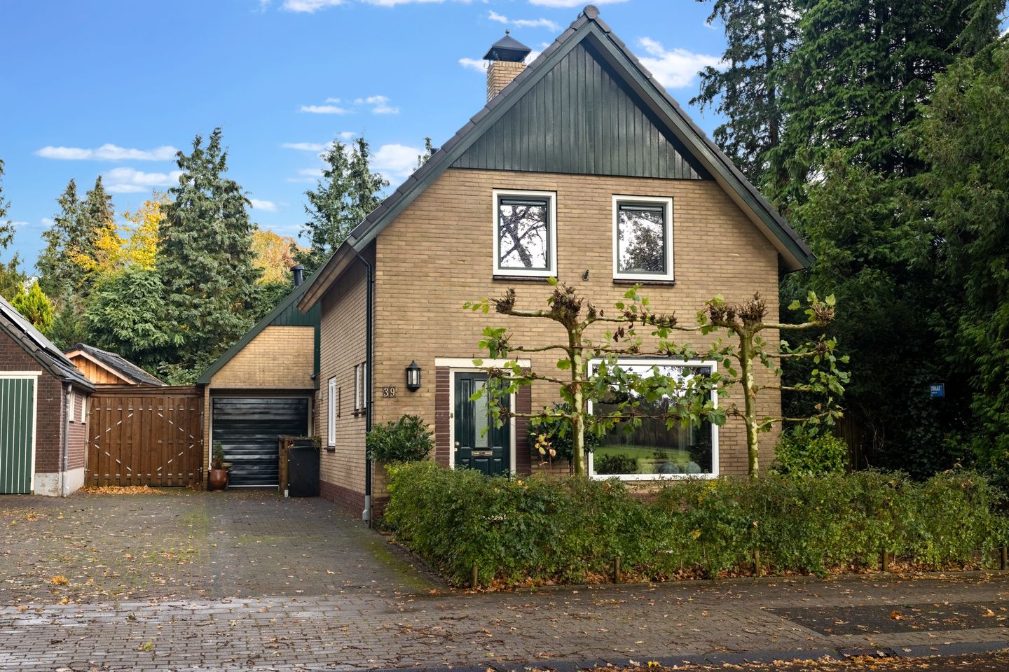 Foto 1 van Burgemeester van der Borchstraat 39