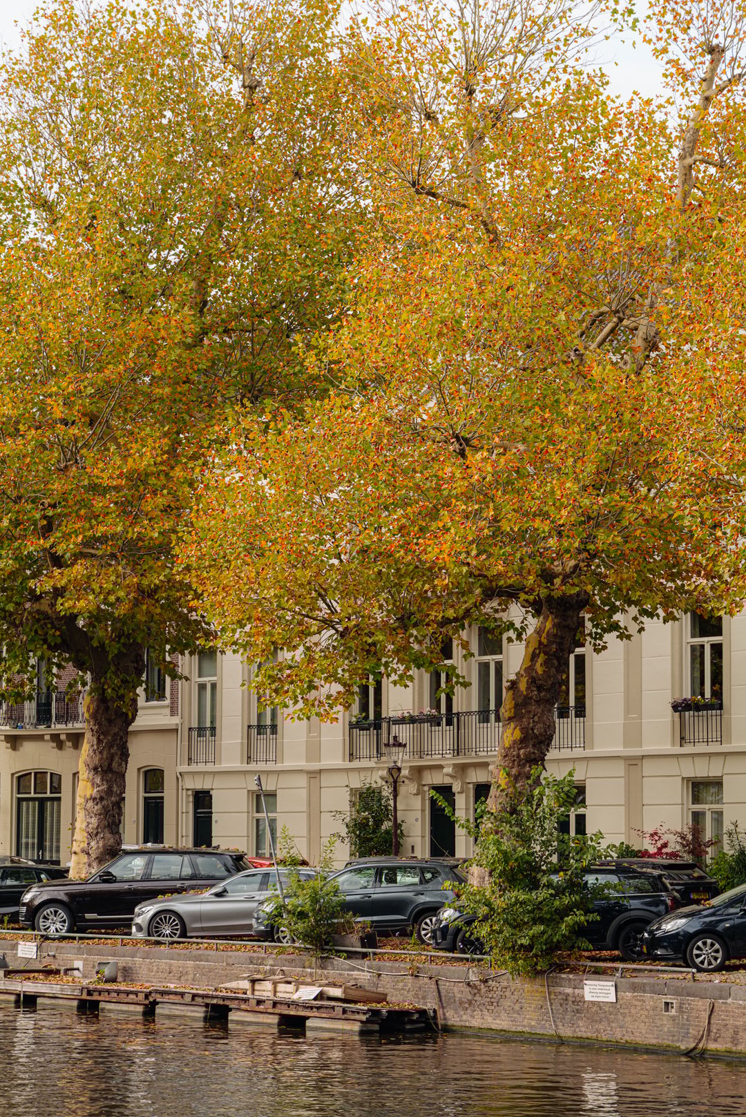 Foto 22 van Nicolaas Witsenkade 43-A