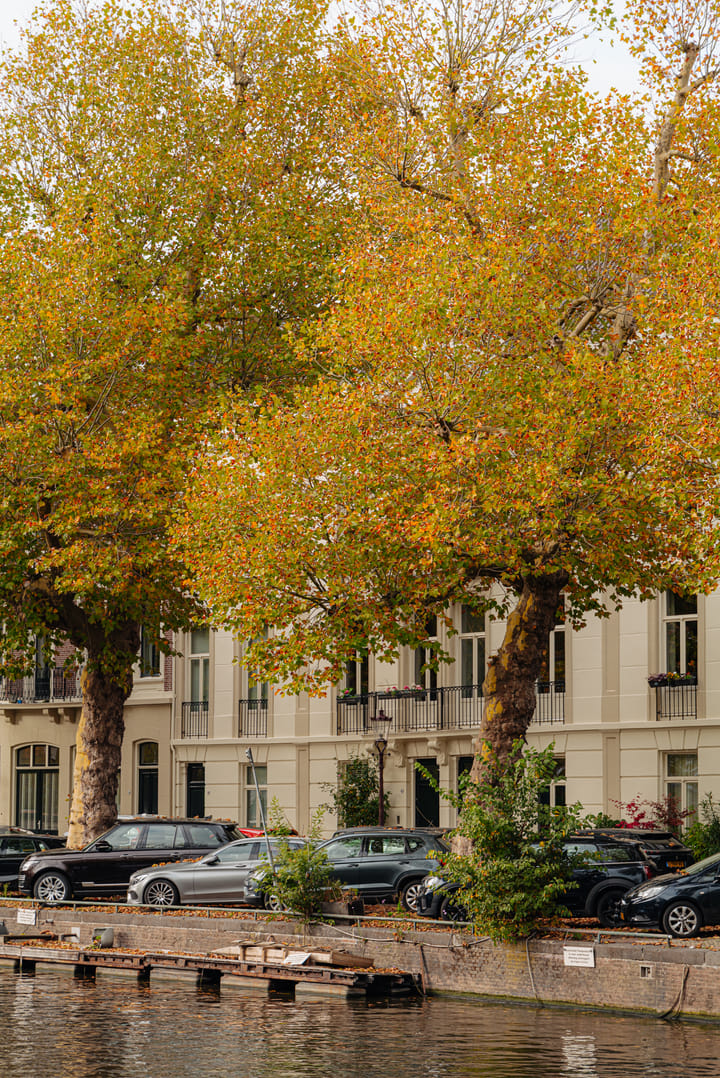 Photo 22 of Nicolaas Witsenkade 43-A