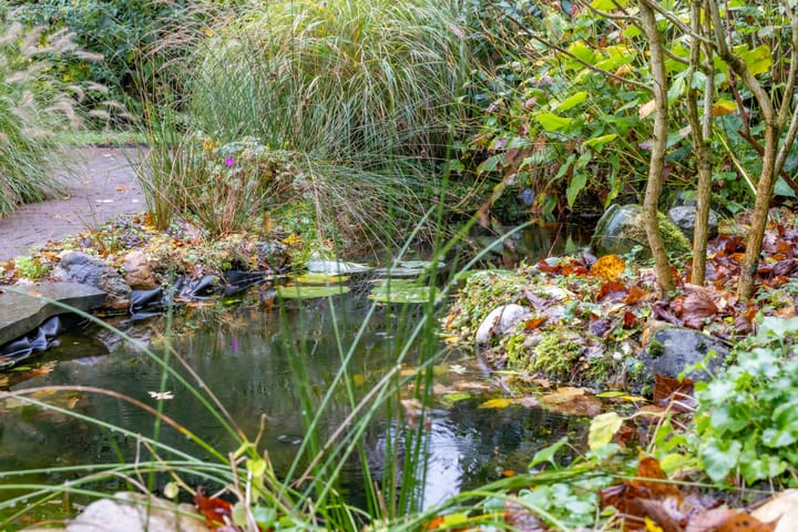 Foto 33 van Burgemeester van der Borchstraat 39