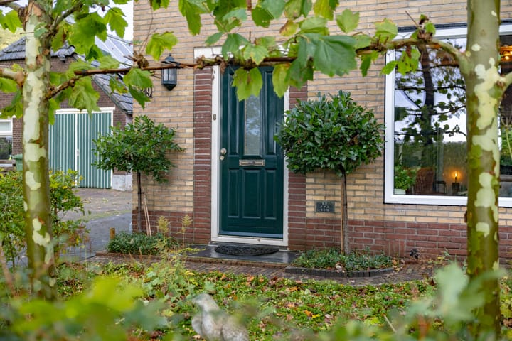 Foto 37 van Burgemeester van der Borchstraat 39