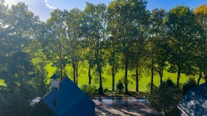 Foto 43 van Burgemeester van der Borchstraat 39