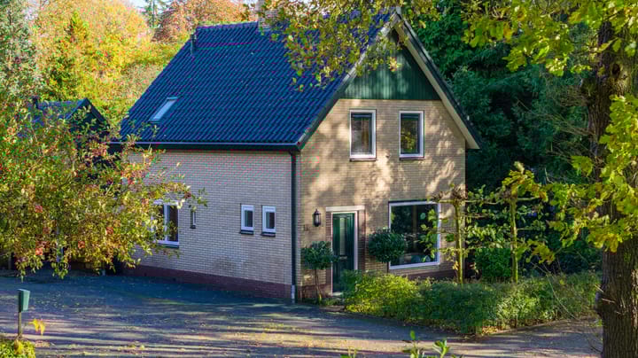 Foto 44 van Burgemeester van der Borchstraat 39