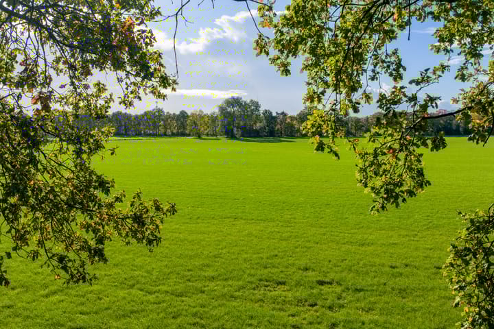 Foto 45 van Burgemeester van der Borchstraat 39