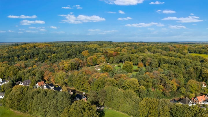 Foto 47 van Burgemeester van der Borchstraat 39