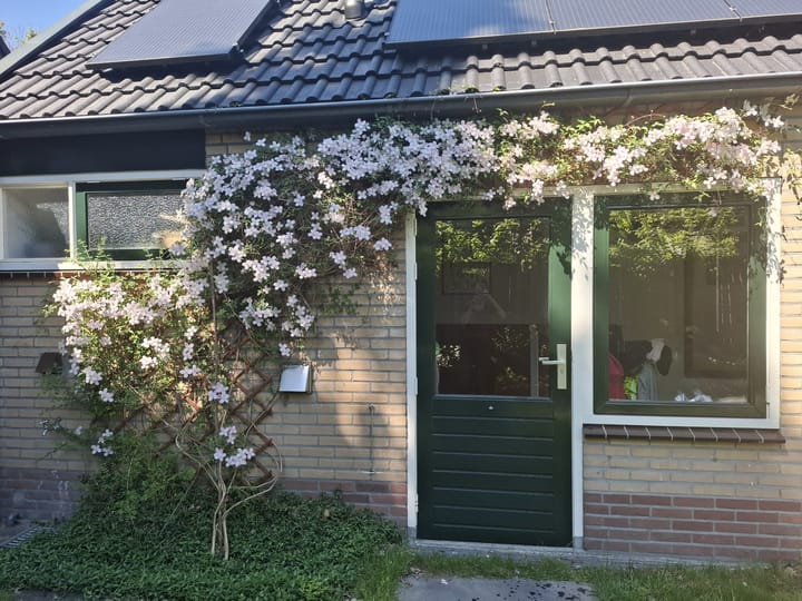 Foto 49 van Burgemeester van der Borchstraat 39