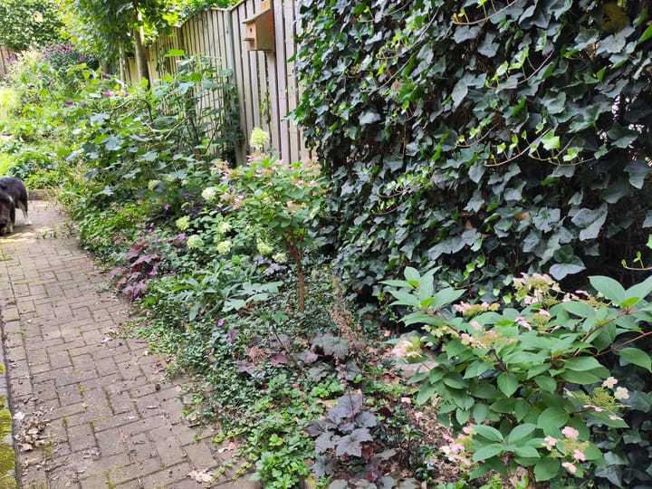 Foto 50 van Burgemeester van der Borchstraat 39