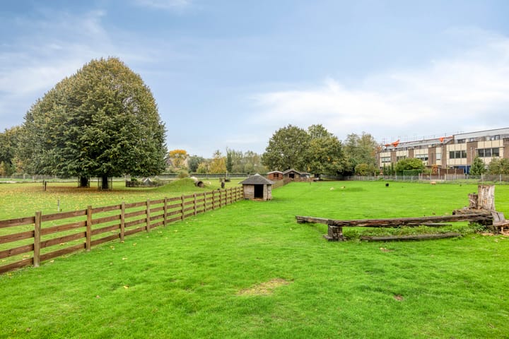 Foto 34 van Het Zwanevlot 281