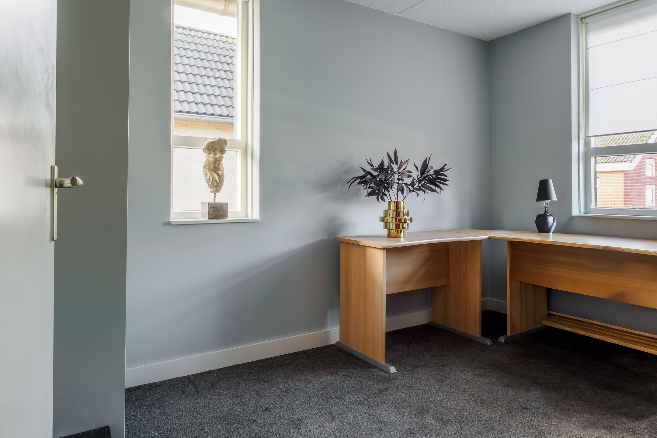 Foto 24 van Goudvisstraat 26