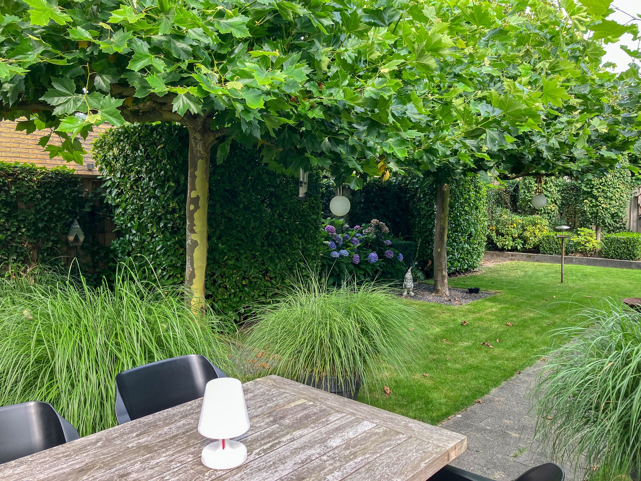 Foto 42 van Goudvisstraat 26