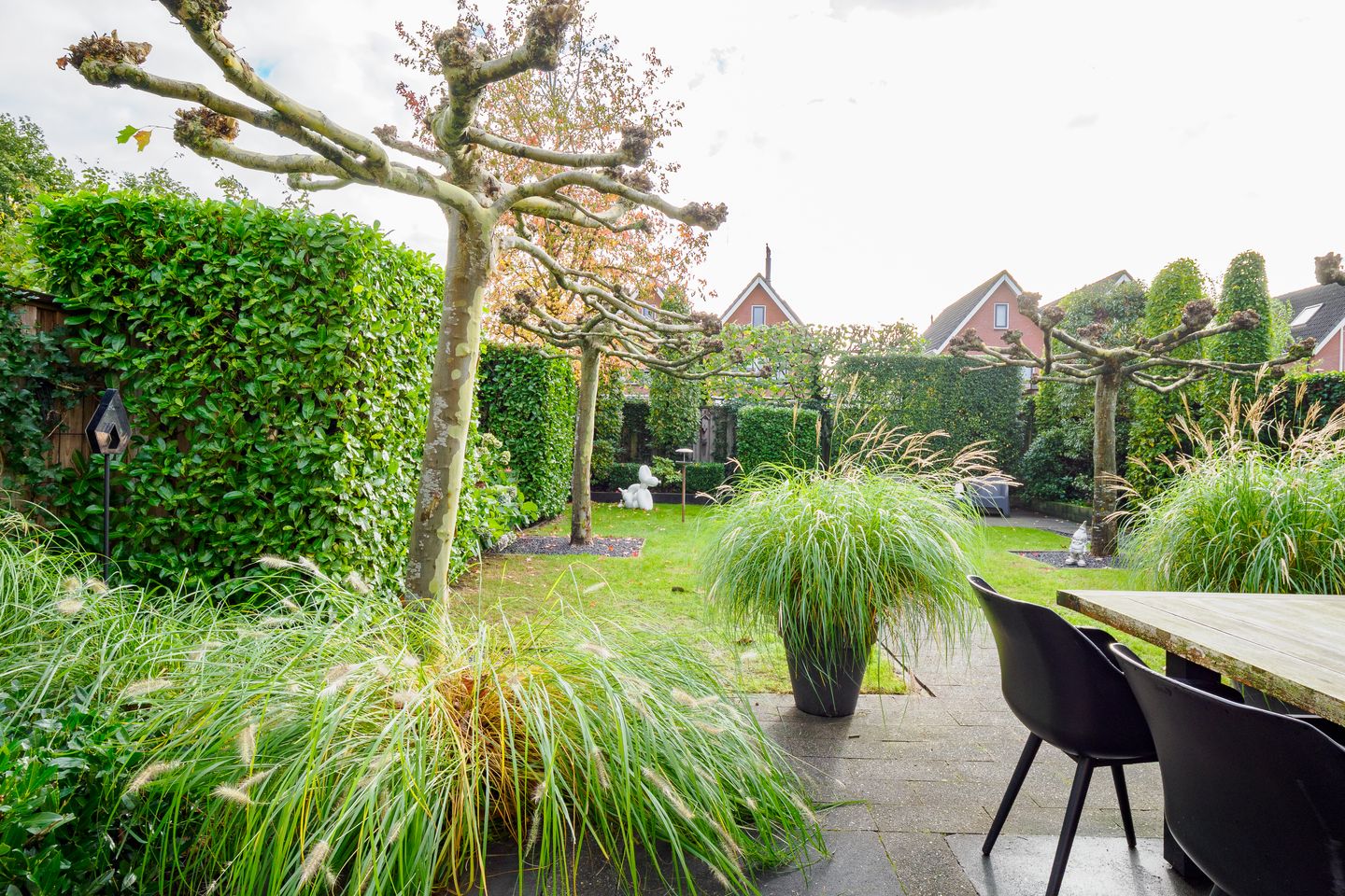 Foto 40 van Goudvisstraat 26