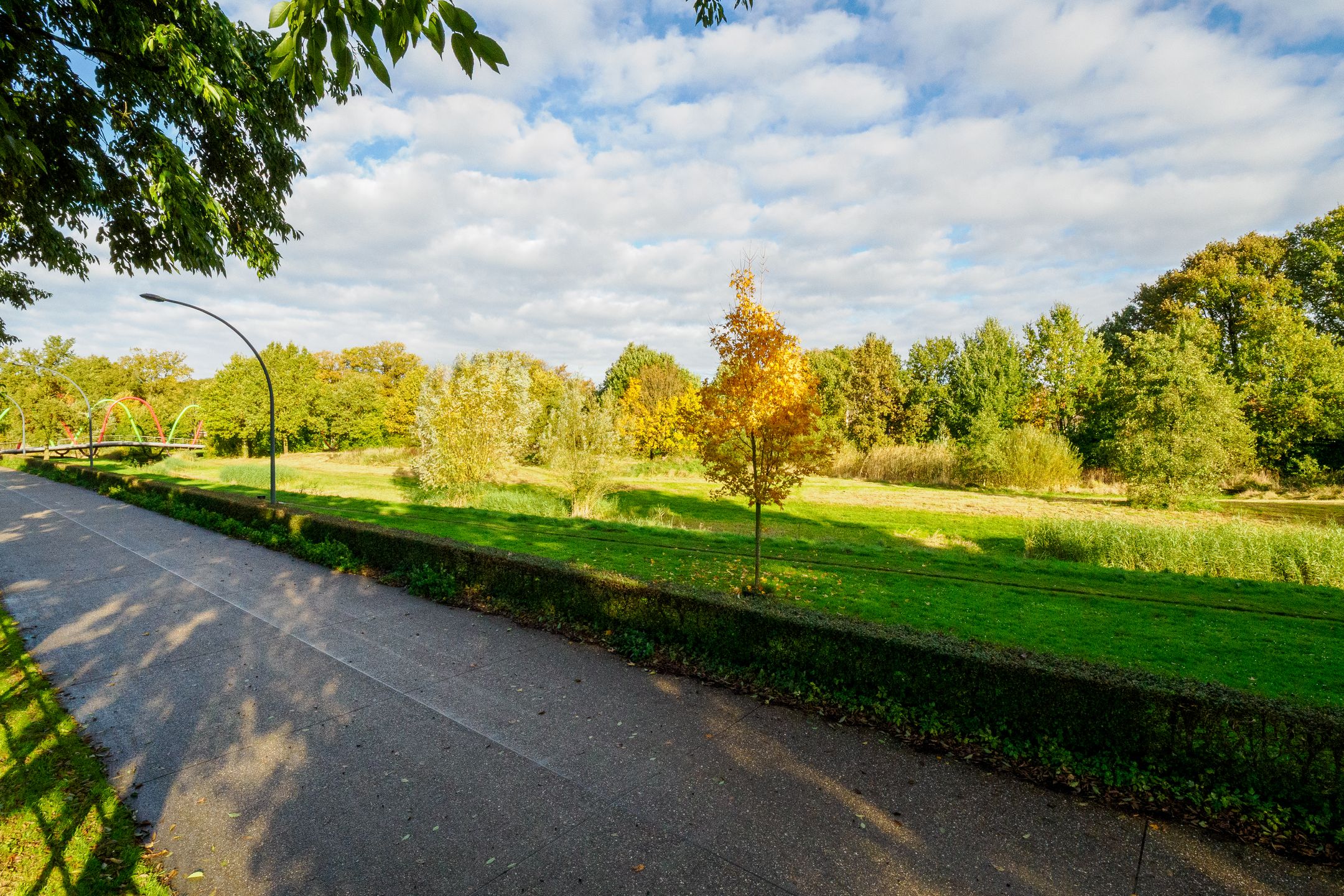 Foto 51 van Goudvisstraat 26