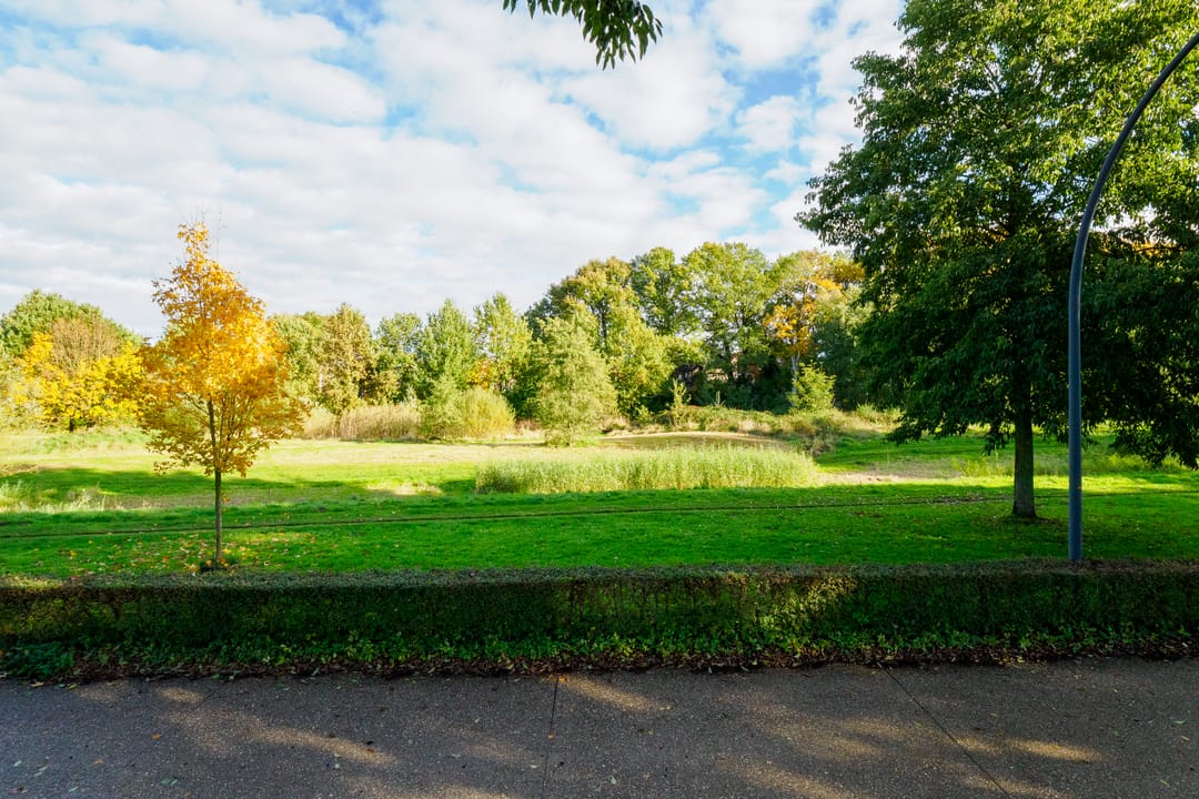 Foto 52 van Goudvisstraat 26