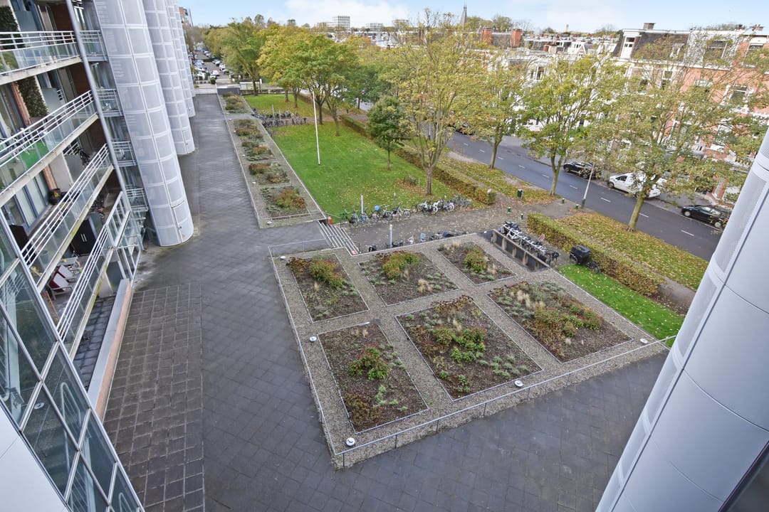 Foto 26 van Cornelis de Wittlaan 36