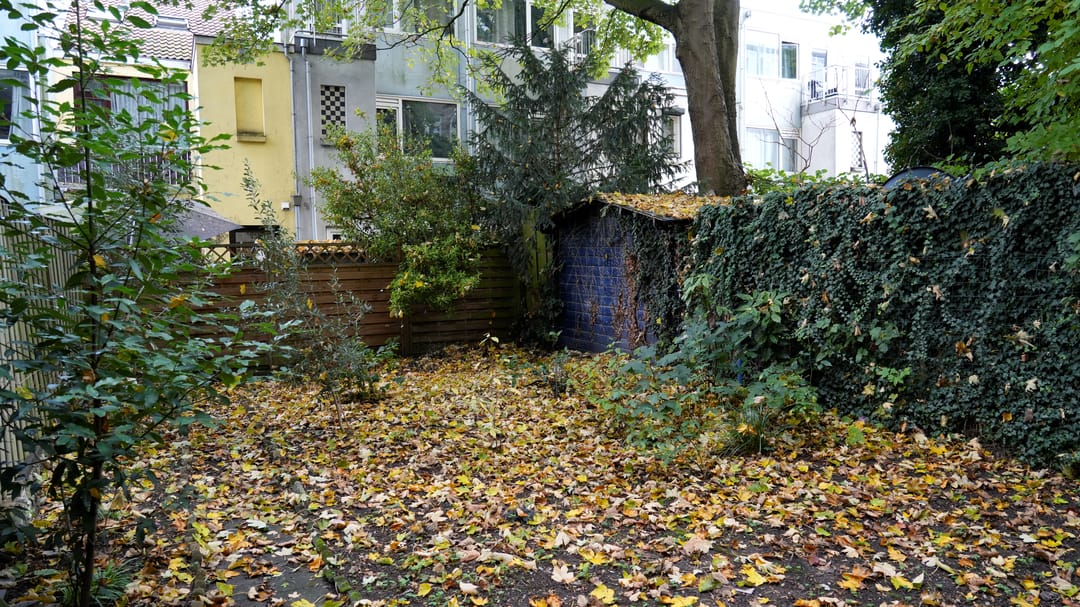 Foto 16 van Dordtselaan 212-C