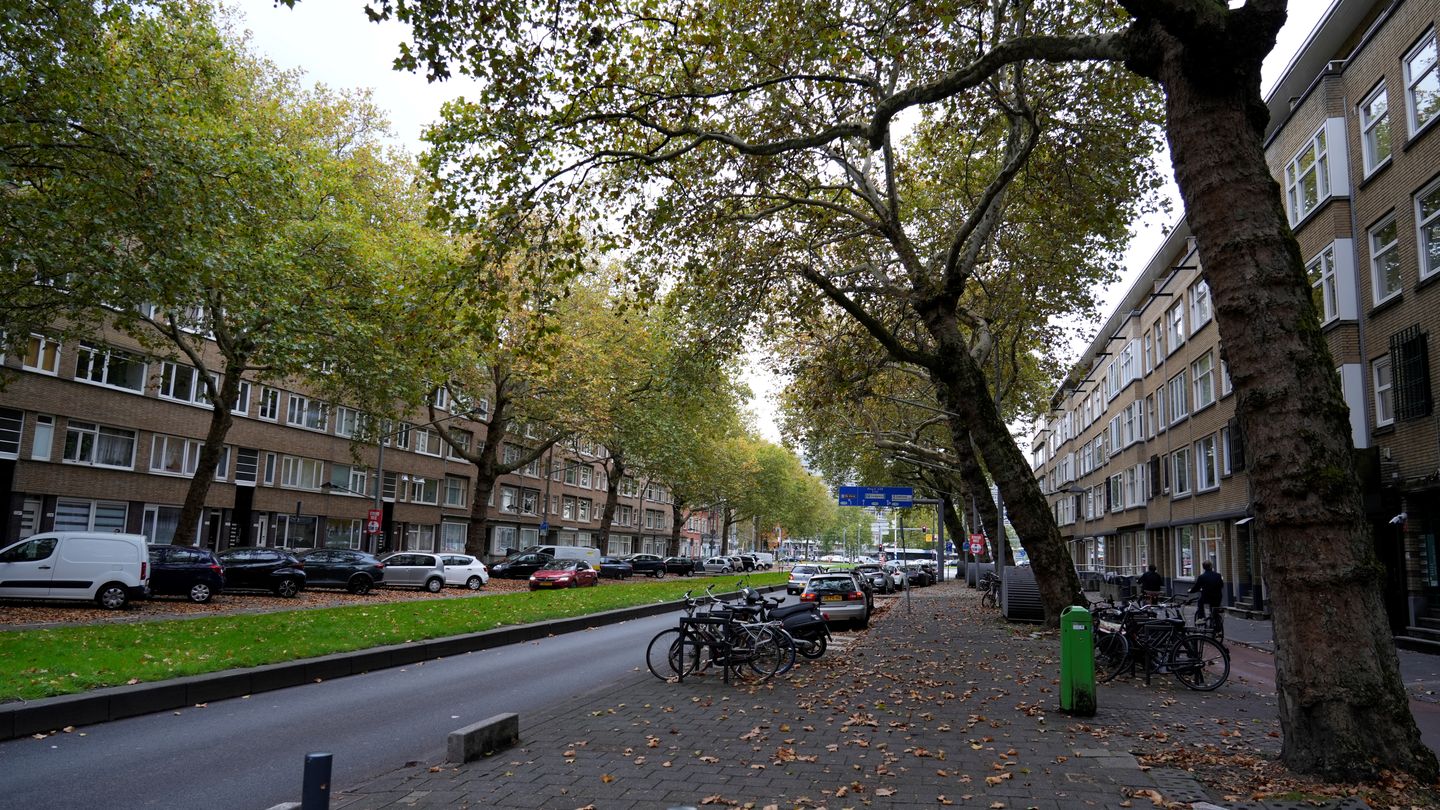 Foto 19 van Dordtselaan 212-C