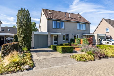 undefined main image