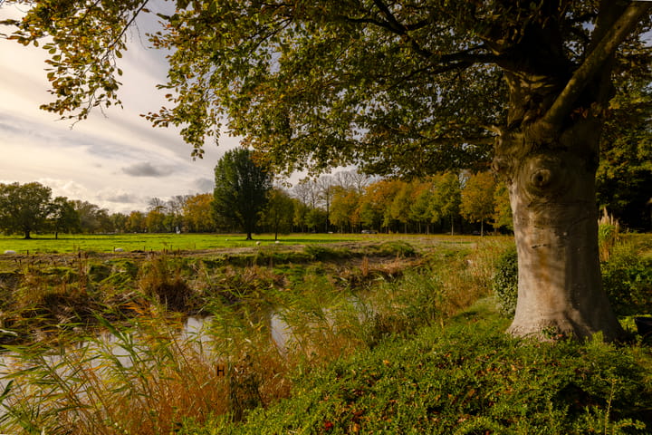 Foto 33 van Pieter Keijlaan 8