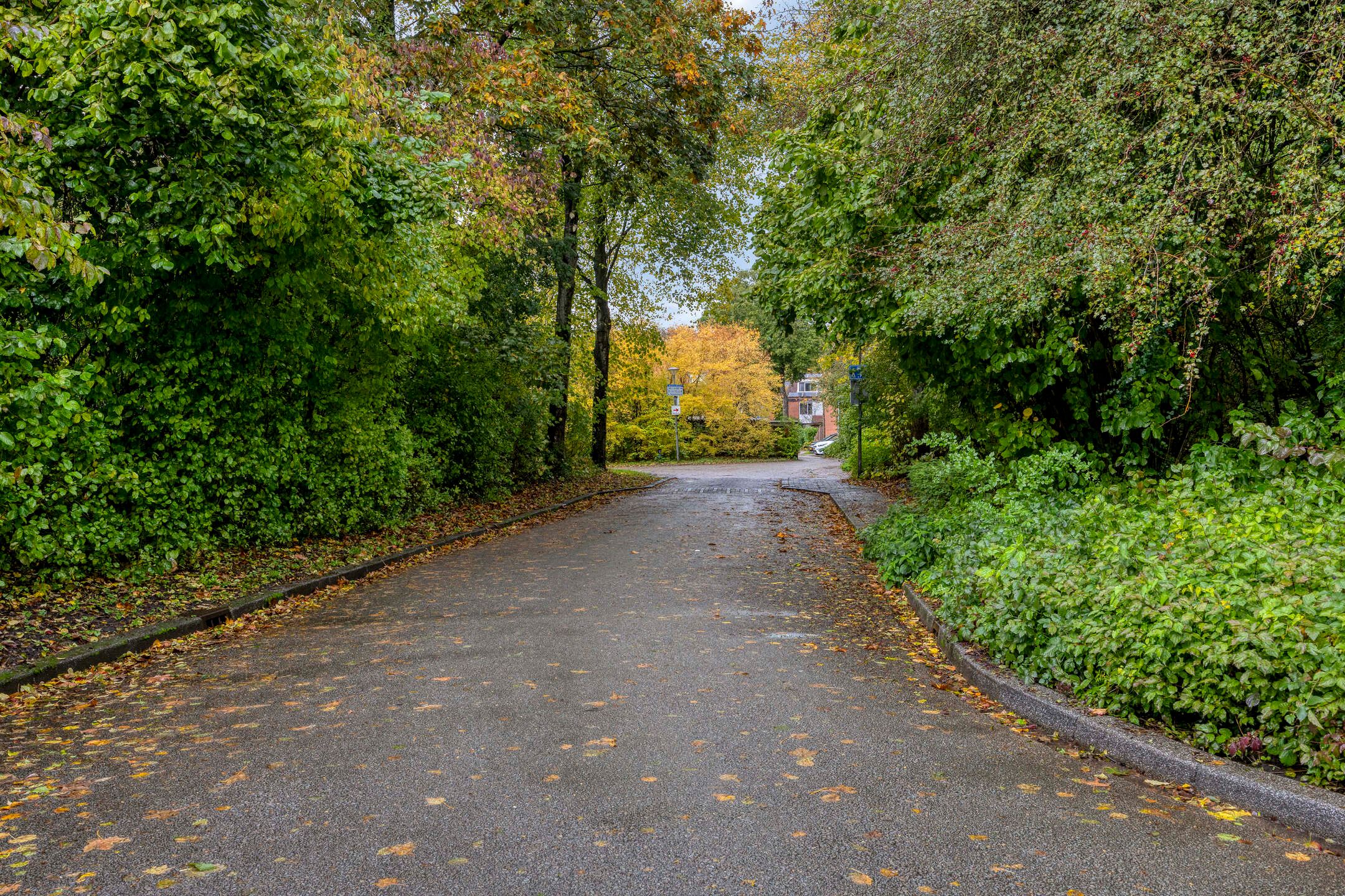 Foto 30 van Kremersheerd 128