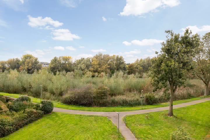 Foto 3 van Haringvlietstraat 285