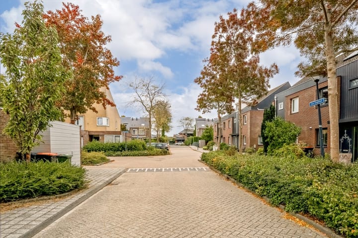 Photo 41 of Van Goghhof 91