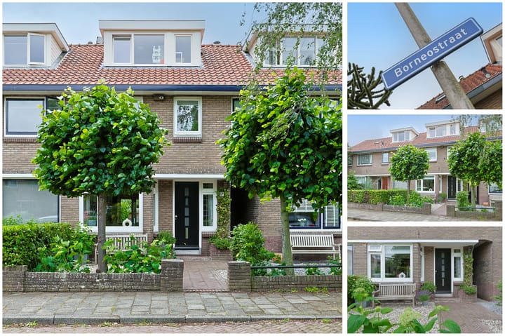 Photo 4 of Borneostraat 17