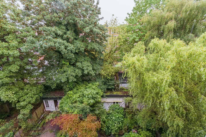 Foto 14 van Sarphatipark 112-3