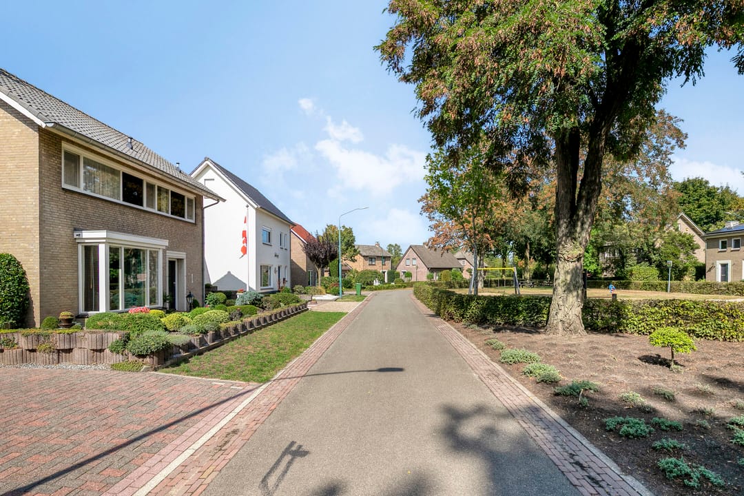 Photo 41 of Antoniuspark 6