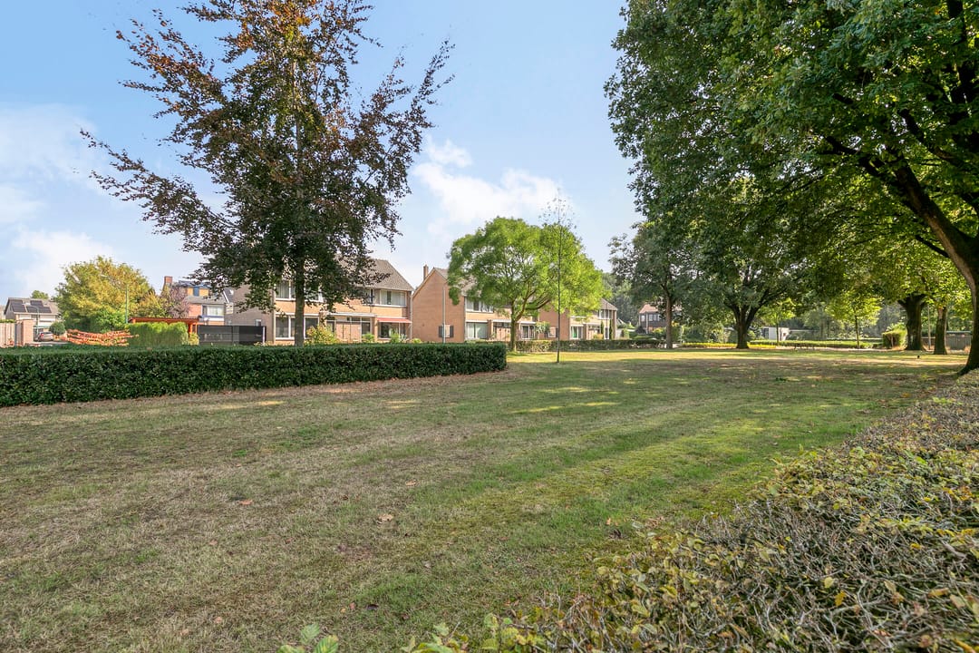 Photo 43 of Antoniuspark 6