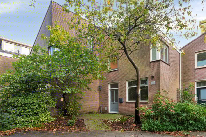 Foto 3 van Loodglans 4