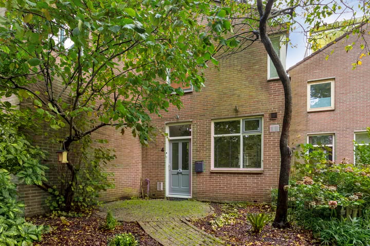 Foto 5 van Loodglans 4