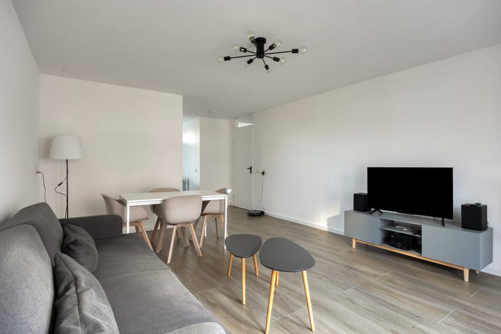 Photo 5 of Sphinxlunet 42-C