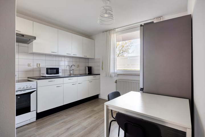 Photo 9 of Sphinxlunet 42-C