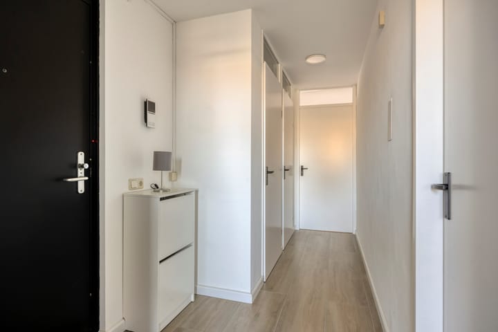 Photo 11 of Sphinxlunet 42-C