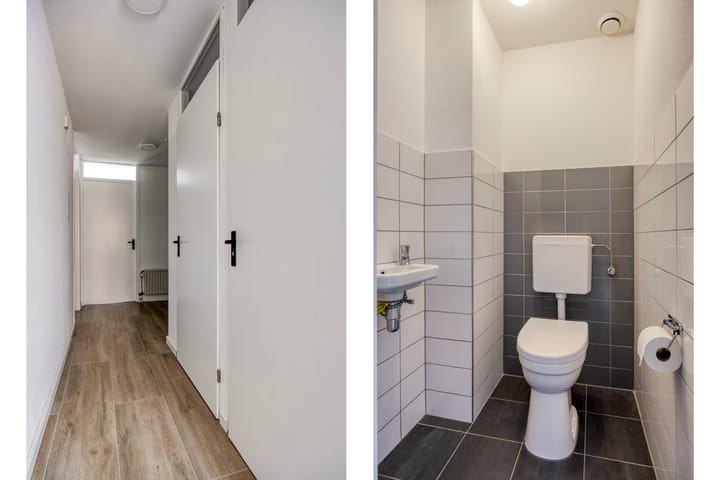 Photo 12 of Sphinxlunet 42-C