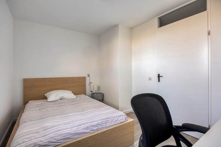 Photo 14 of Sphinxlunet 42-C