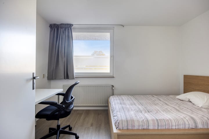 Photo 15 of Sphinxlunet 42-C