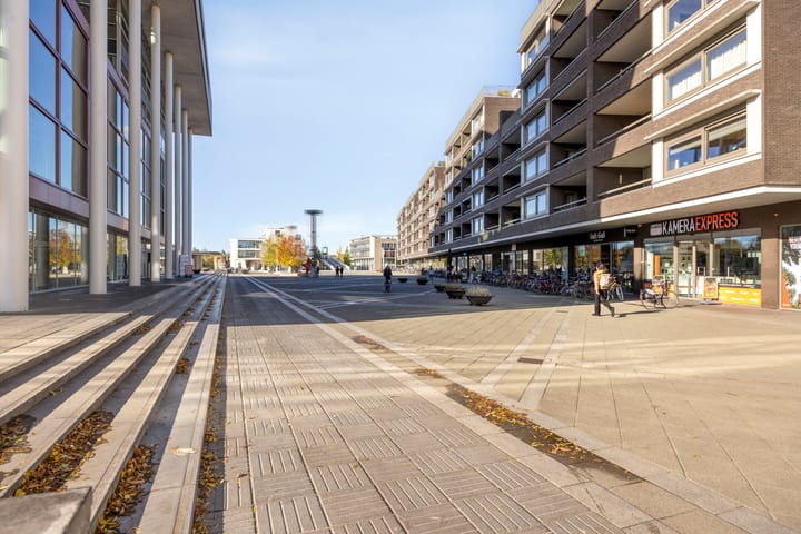 Photo 23 of Sphinxlunet 42-C